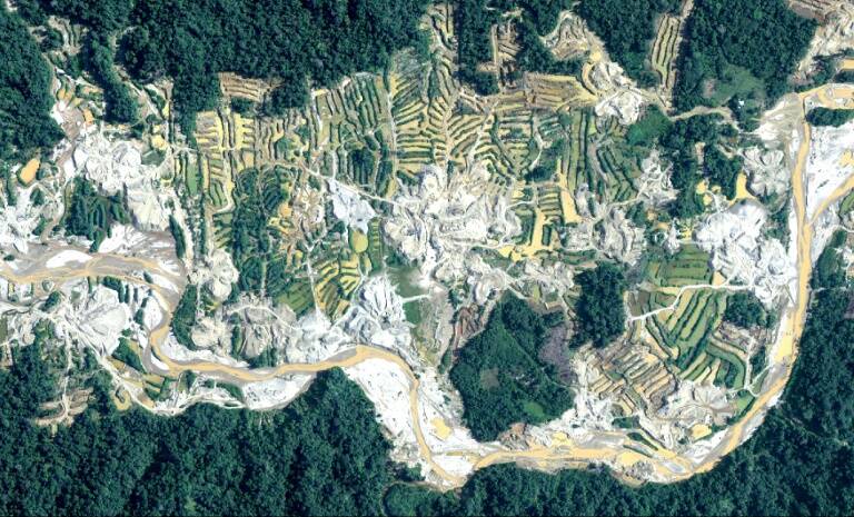medioambiente - Perú - minería - bosques