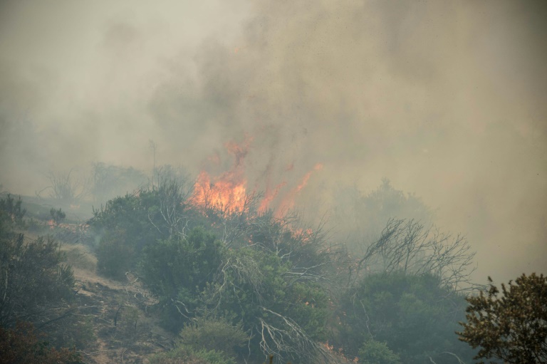Chile,incendio,medioambiente,emergencia