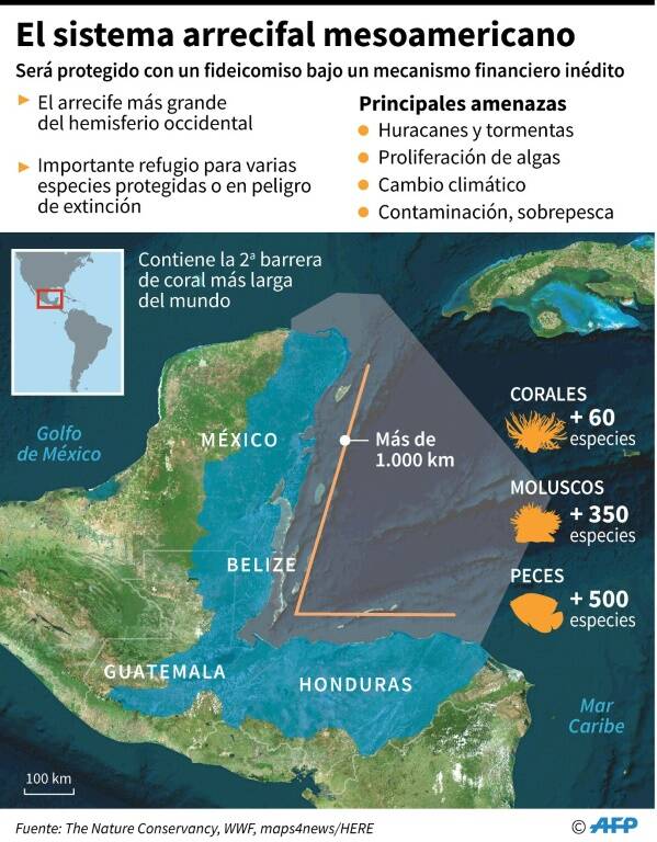 noticia