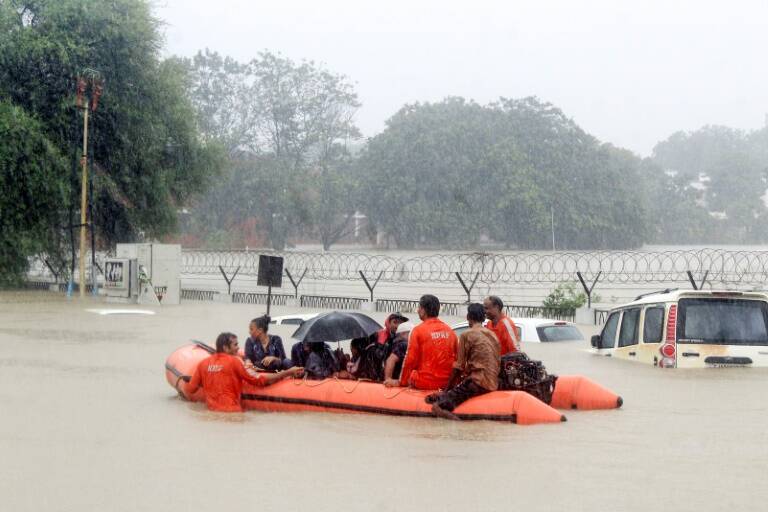 India,flood,climate,animal,crocodile