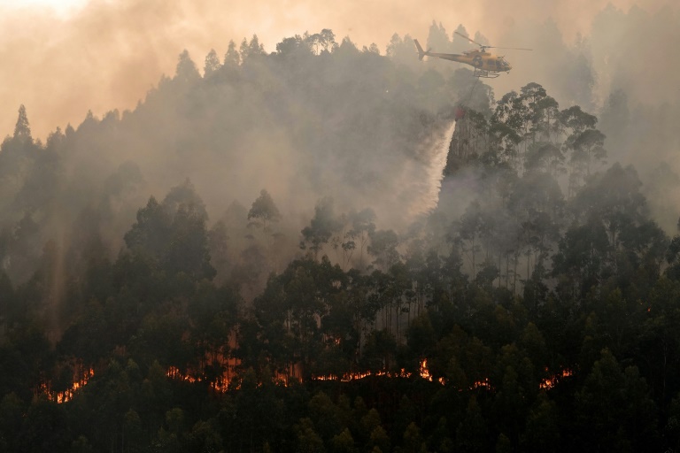 Guatemala - incendio - medioambiente