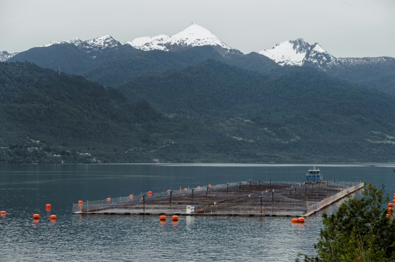 Chile - Noruega - pesca - acuicultura - medioambiente