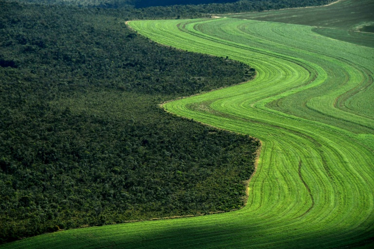 Brasil,deforestacin,medioambiente,agricultura