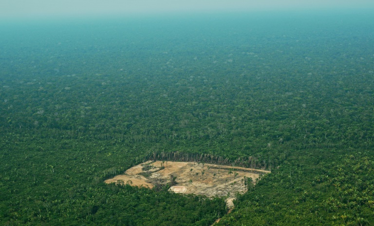 Brazil - forest - Amazon - environment