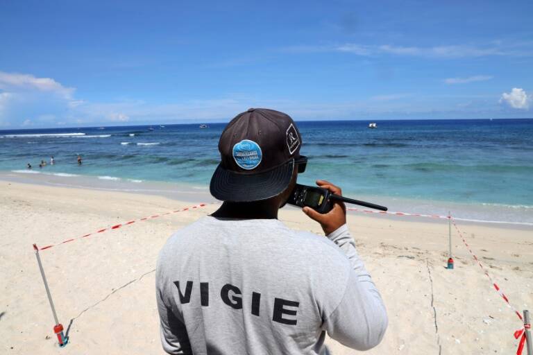 surf - animaux - outremer - réunion - attaque