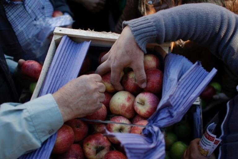 Argentina - economa - inflacin - precios - cultivos