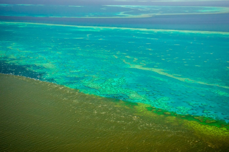 Australia - environment - reef