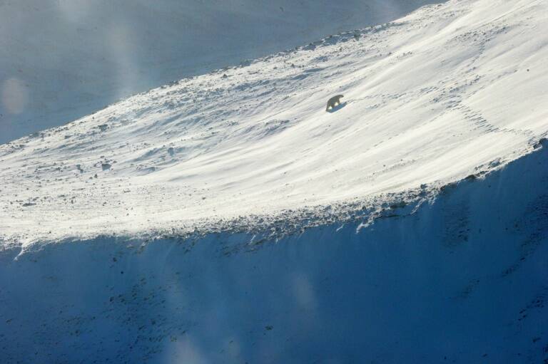 Science - Environment - plastics - Arctic - Germany - Switzerland