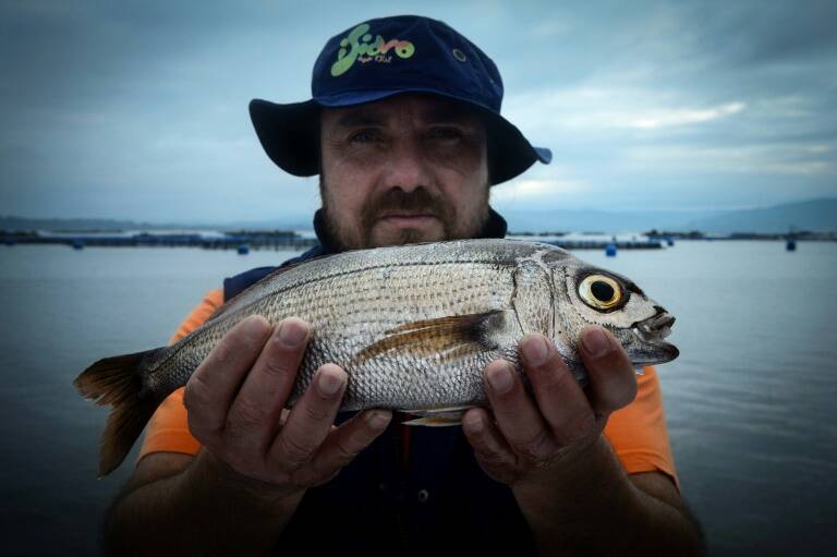 UE - pesca - medioambiente - Espaa - Francia - Italia