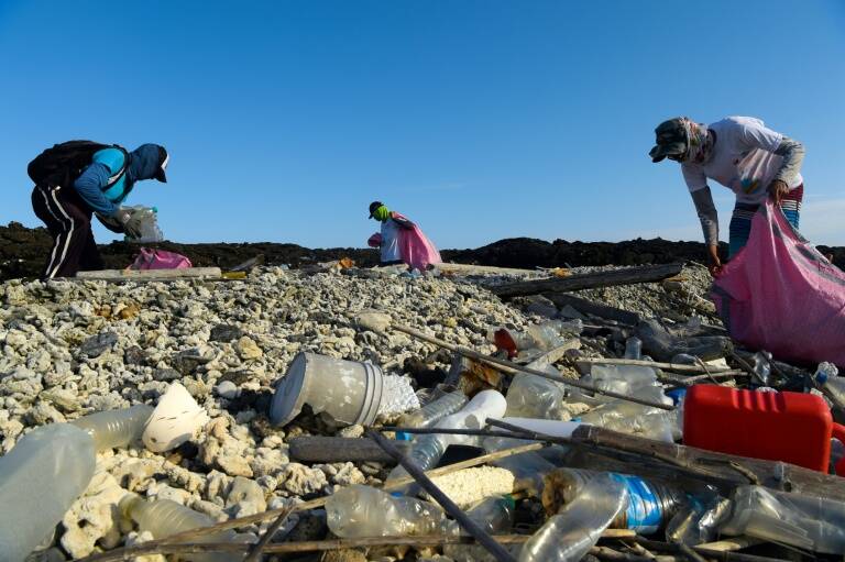 Ecuador - contaminacin - medioambiente - animales - Galpagos