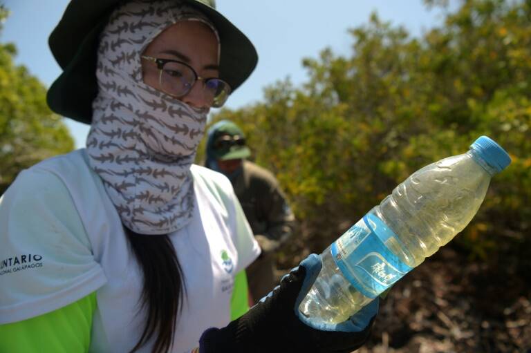 medioambiente,qumica,ONU