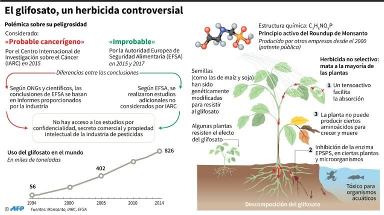 FotoNoticia