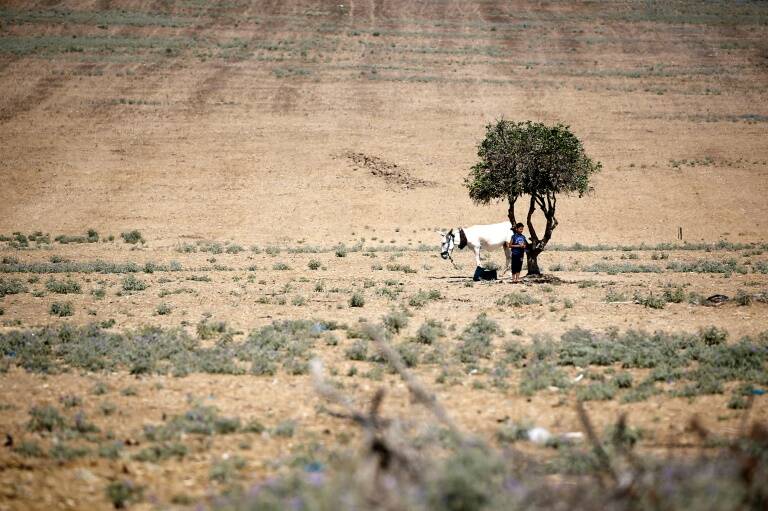 clima - medioambiente - economía - ecosistema