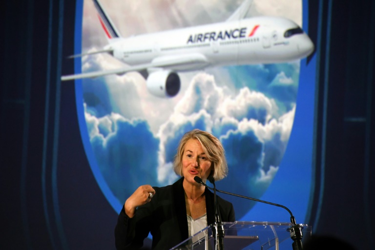 Francia - clima - medioambiente - aviación - bosques - ecología - transporte