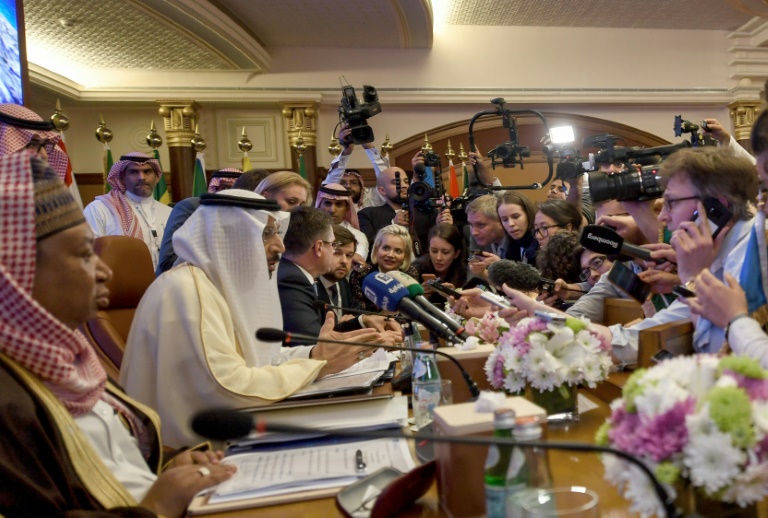 Arabia - Emiratos - Venezuela - Irn - diplomacia - petrleo - Opep - energa