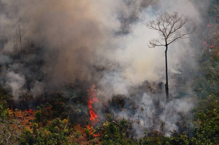 Brasil - medioambiente - poltica