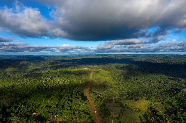 Brasil - Colombia - clima - medioambiente - agricultura - bosques