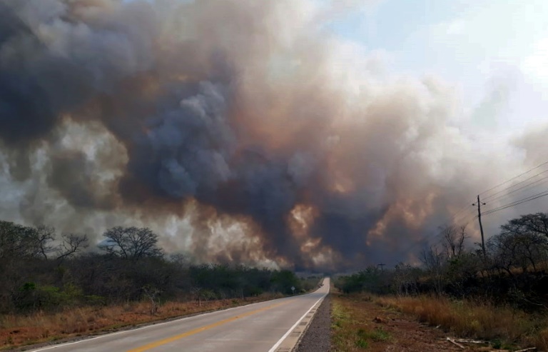 Bolivia - medioambiente - naturaleza - incendio