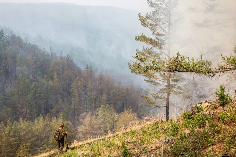 Rusia - Ártico - incendio - medioambiente - política - bosques