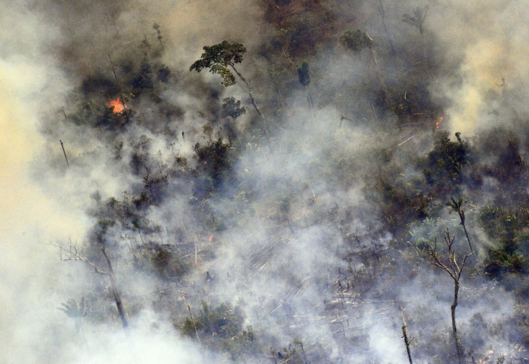 Brasil,medioambiente,Amazona,incendio