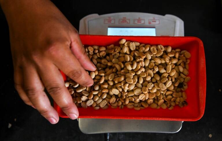 Brasil - materias - primas - agricultura - café