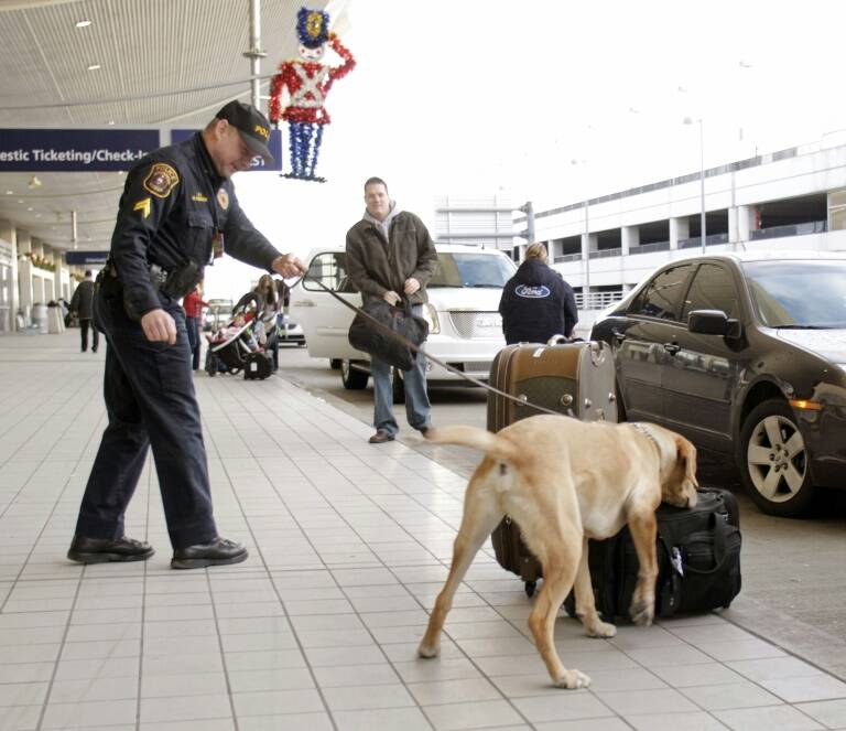 USA,Jamaïque,prison,immigration,police