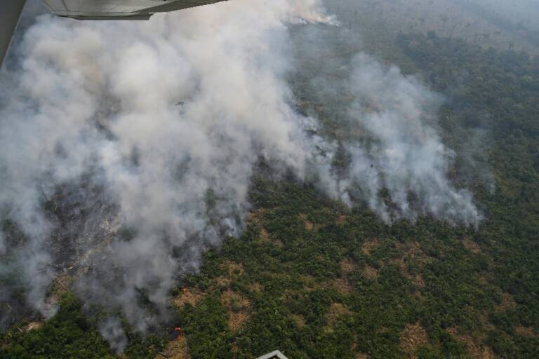 Brasil ,bosques,medioambiente,poltica