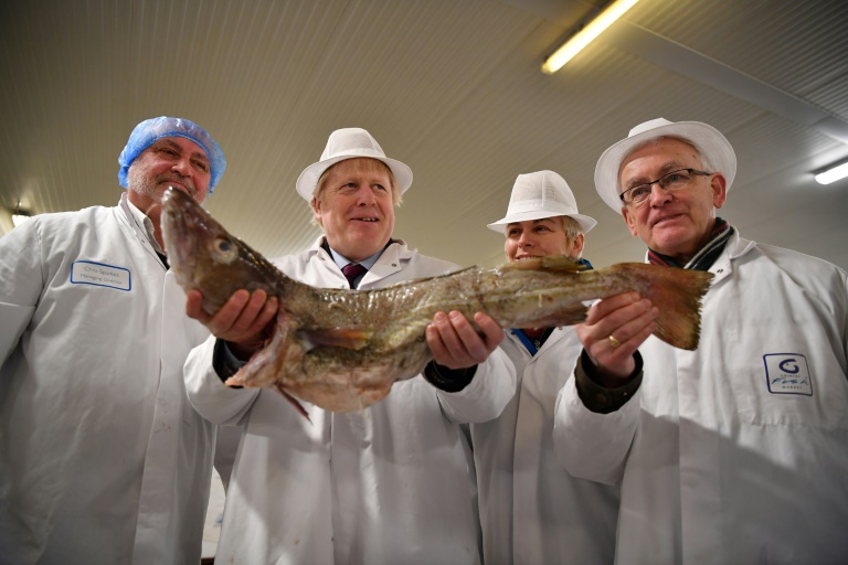 UE - pesca - medioambiente