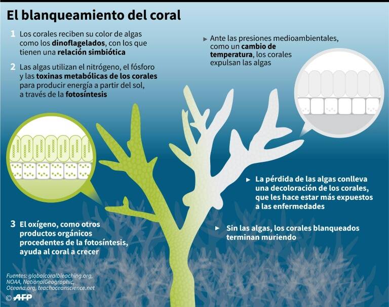 noticia