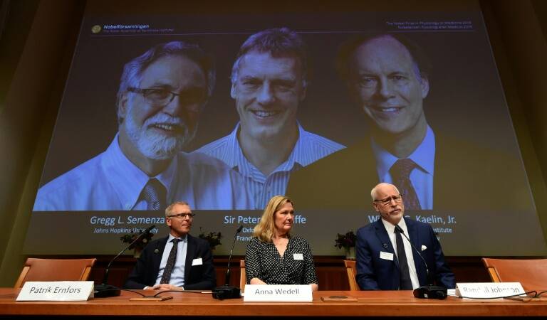 Nobel - premio - medicina