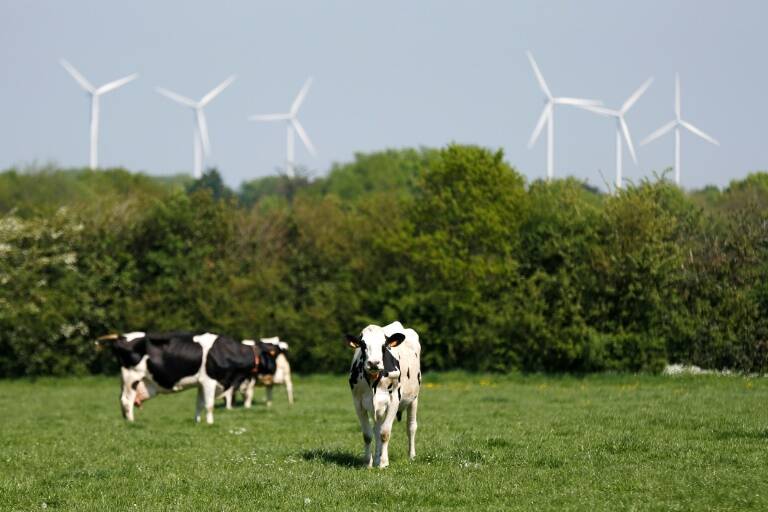 santé - renouvelables - énergie - élevage - électricité - pollution - environnement