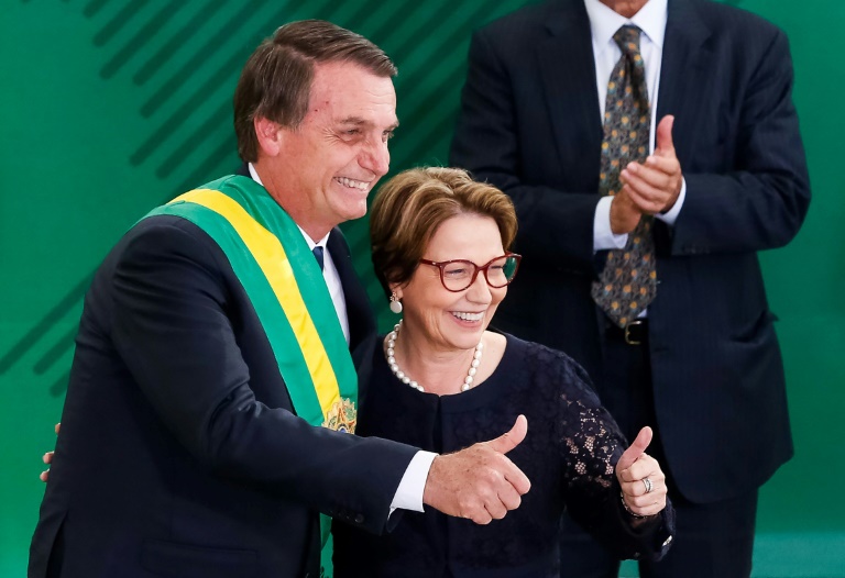 Brasil - poltica - gobierno - indgenas - agricultura