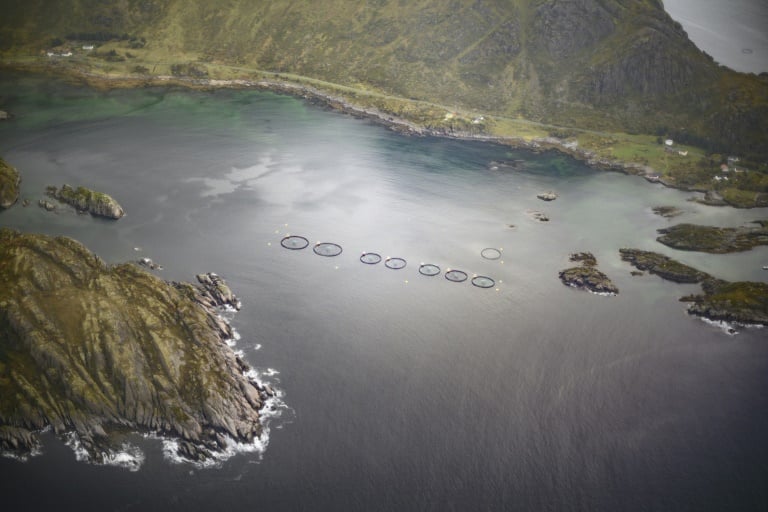 Norvège - pêche - santé - océans - industrie - alimentation - environnement