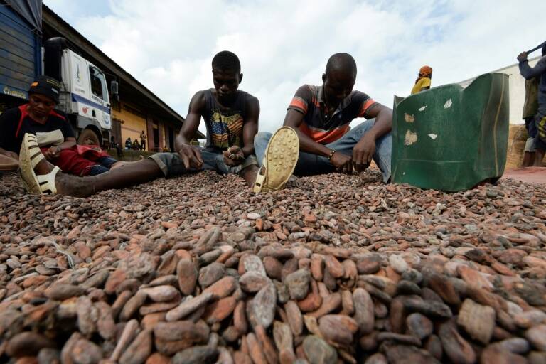 agriculture,marchs,matires,premires,CoteIvoire,Ghana