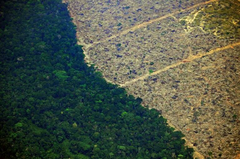 Brasil - medioambiente - poltica