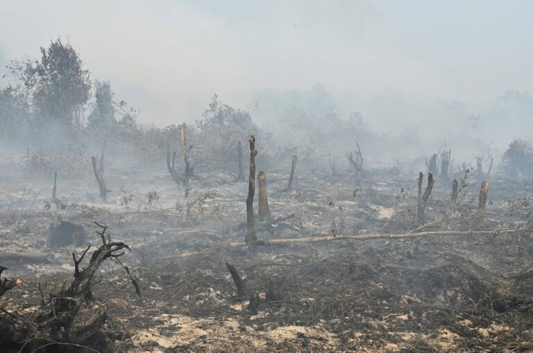 Malaysia - Singapore - Indonesia - environment - pollution
