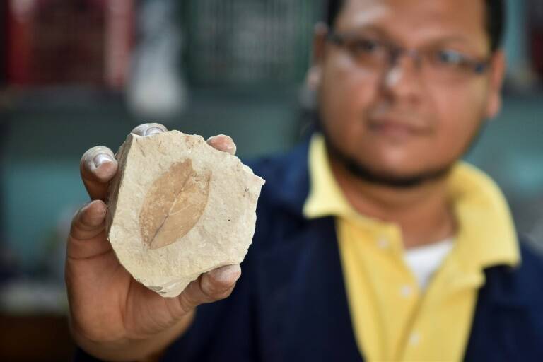 ElSalvador, paleontologa, cultura
