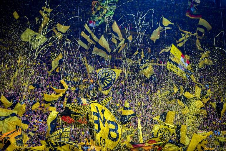 fbl, economía, GER