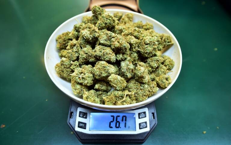 USA - cannabis - banque - drogues - lois