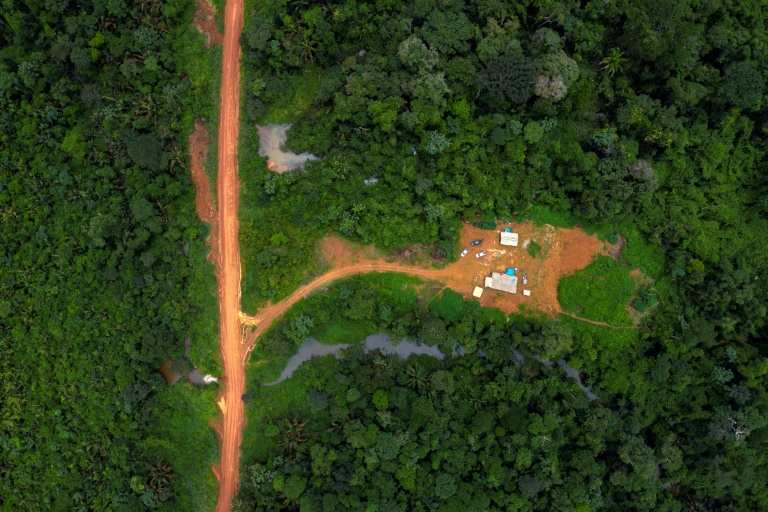 Brasil - medioambiente - ambiente - Amazona - deforestacin