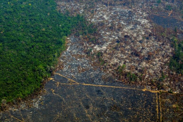 Brasil,medioambiente,política