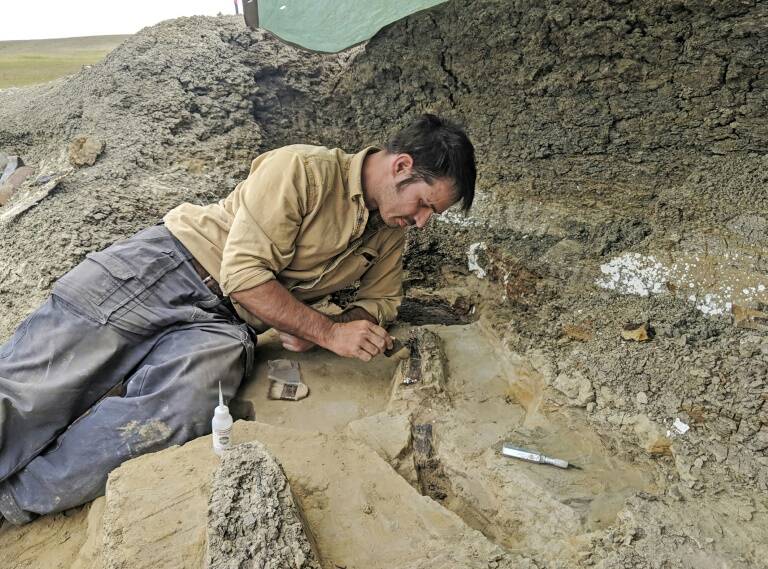 USA - paléontologie - archéologie - géologie - recherche