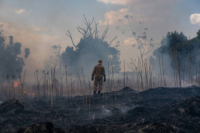 Brasil - Amazonia - ONU - incendio - medioambiente