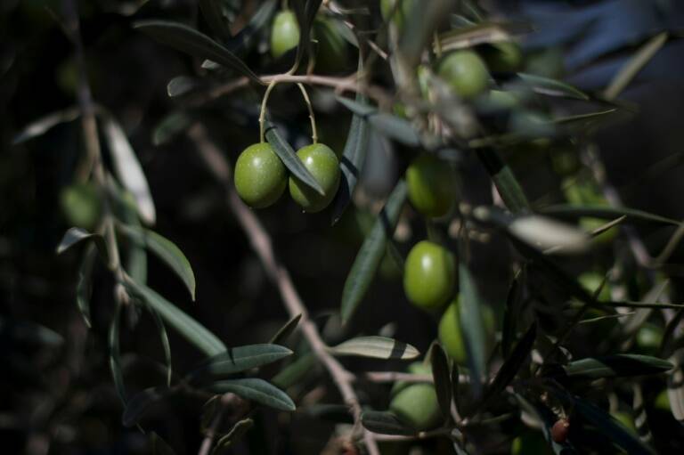 fotonoticia