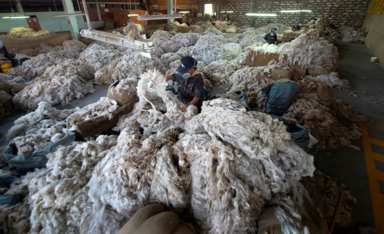 Per - textiles - animales - ganadera - comercio