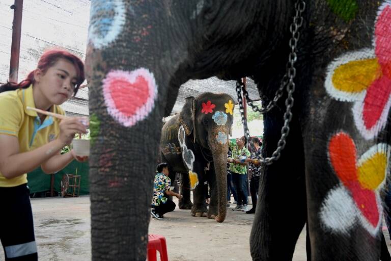 Thalande,animaux,festival