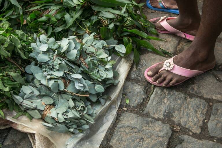 Madagascar,santé,virus,épidémie