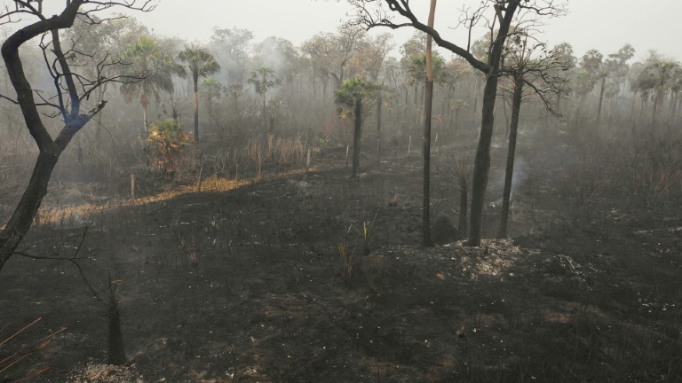 Bolivia - medioambiente - incndio - bosques - Amazonia