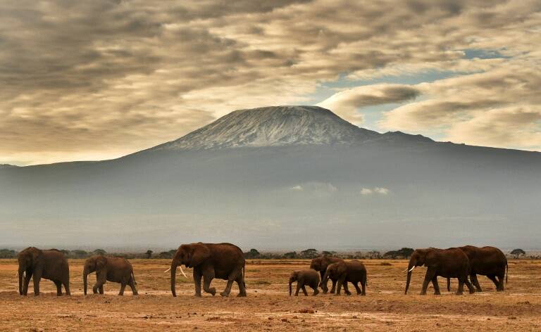 Tanzania,mountains,fire,leisure,mountaineering