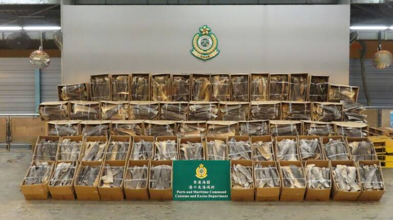 HongKong - Ecuador - crime - animal